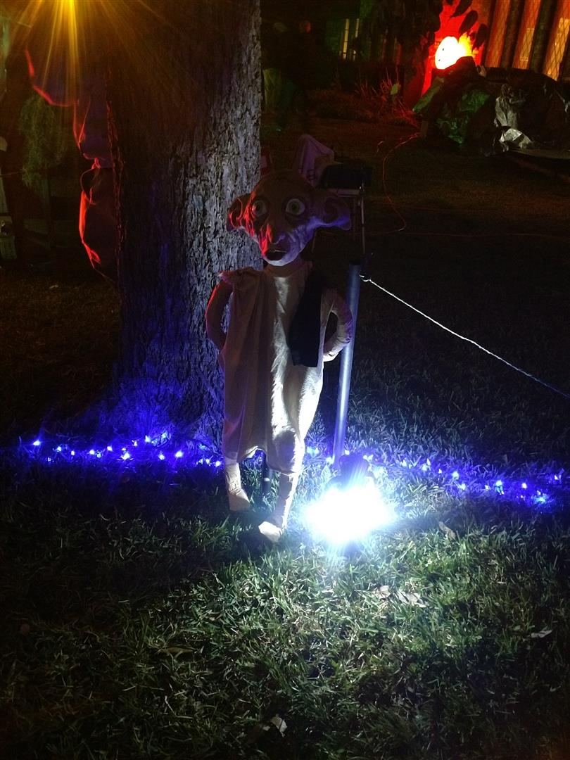 Photo from 2017 gallery