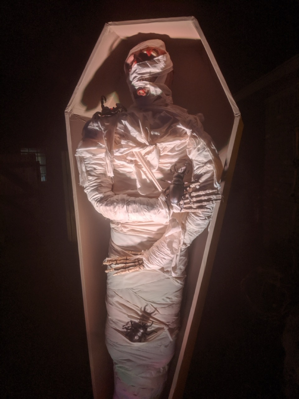 Photo from 2019 gallery