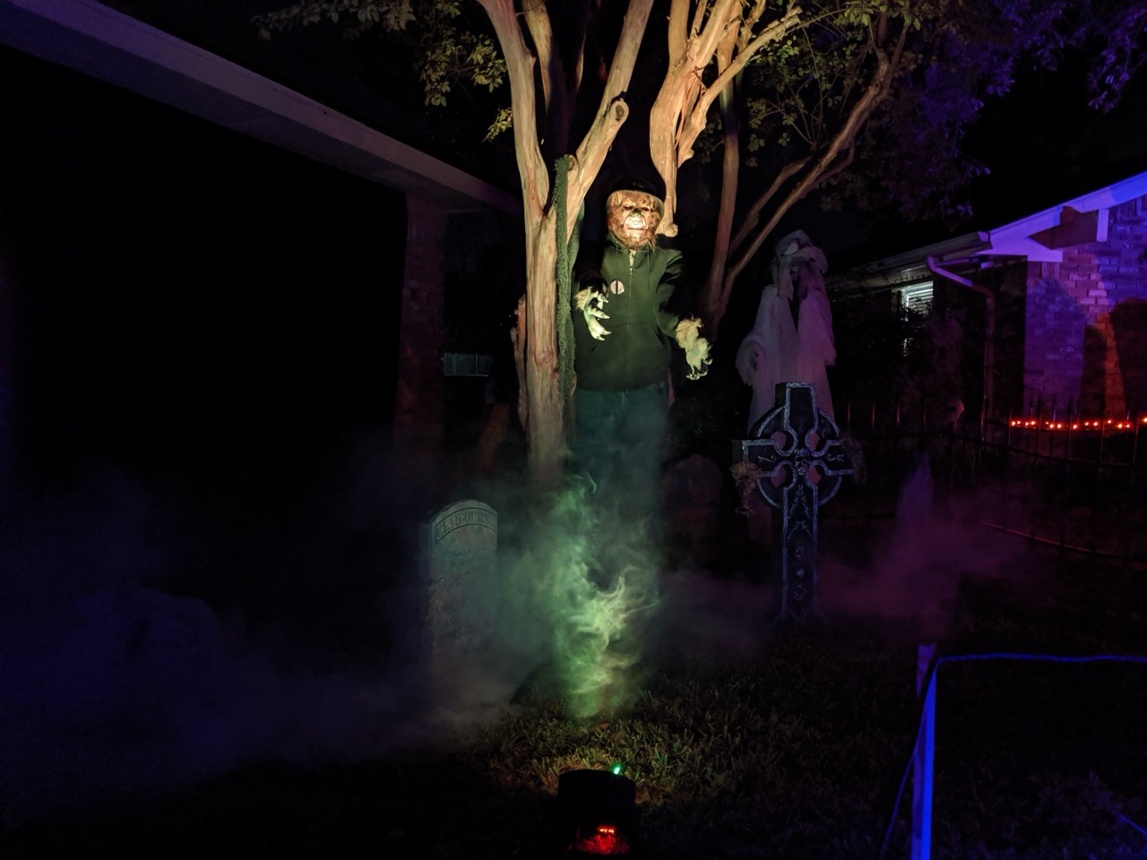 Photo from 2019 gallery