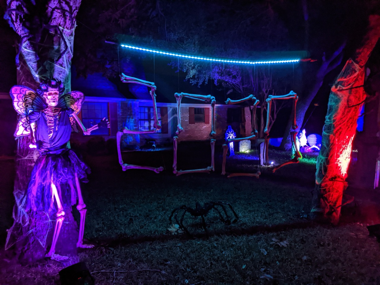 Photo from 2020 gallery