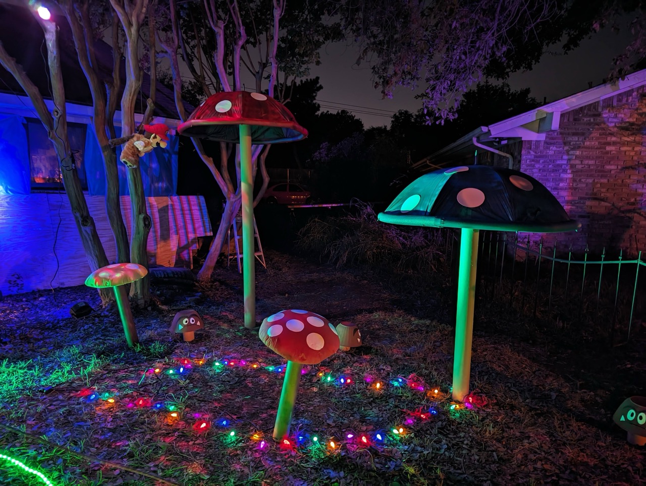 Photo from 2023 gallery