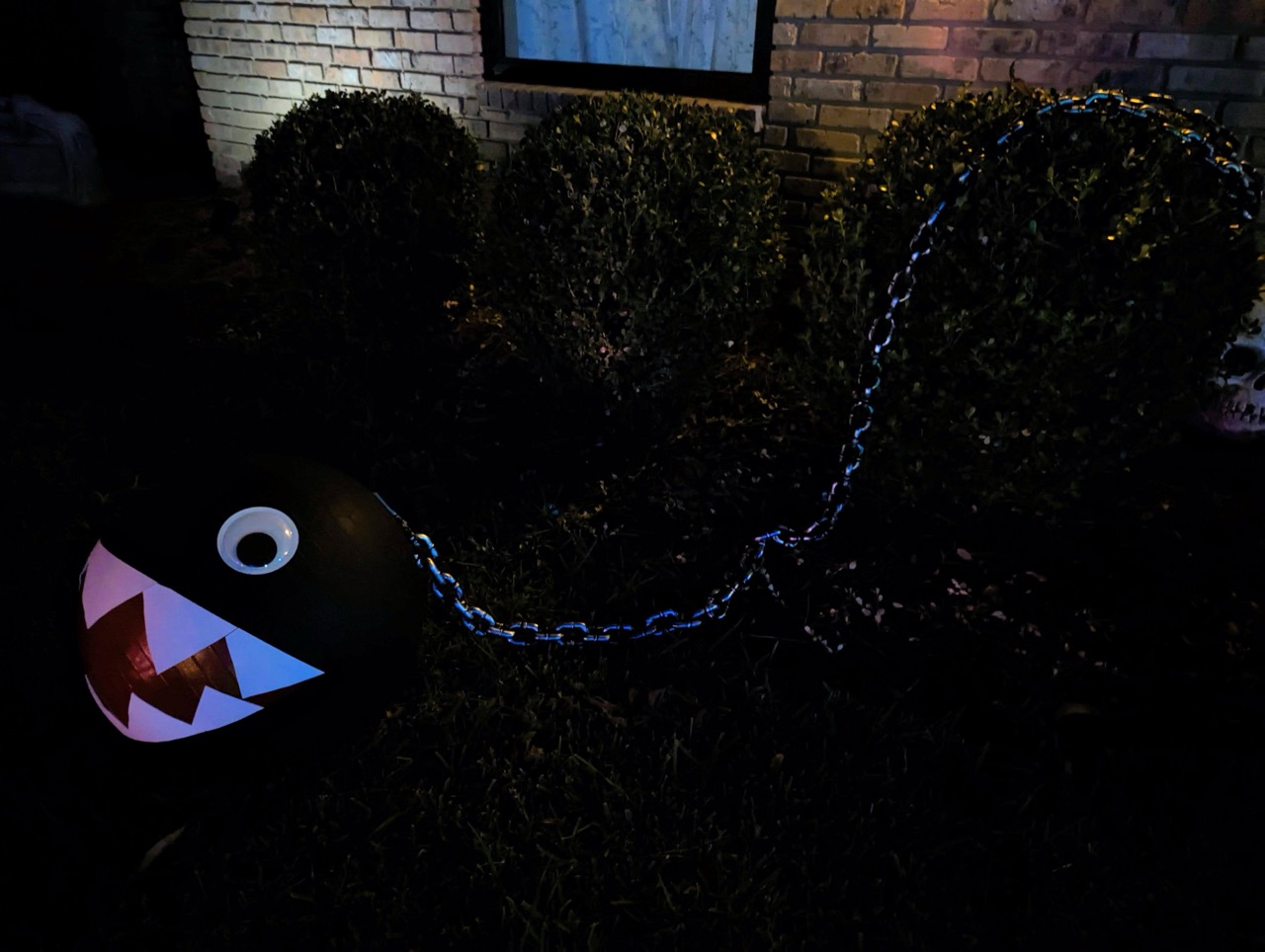 Photo from 2023 gallery