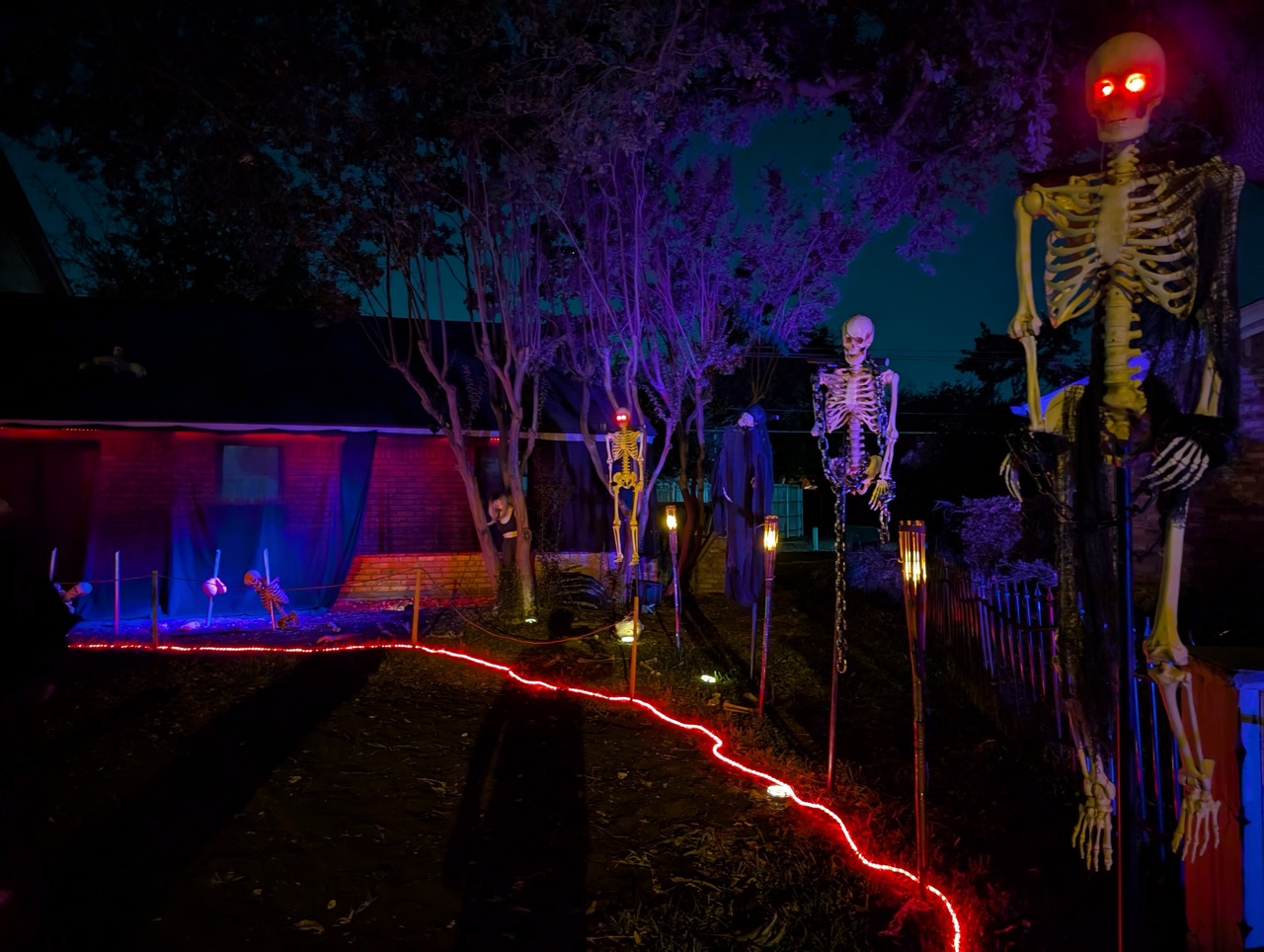 Photo from 2024 gallery