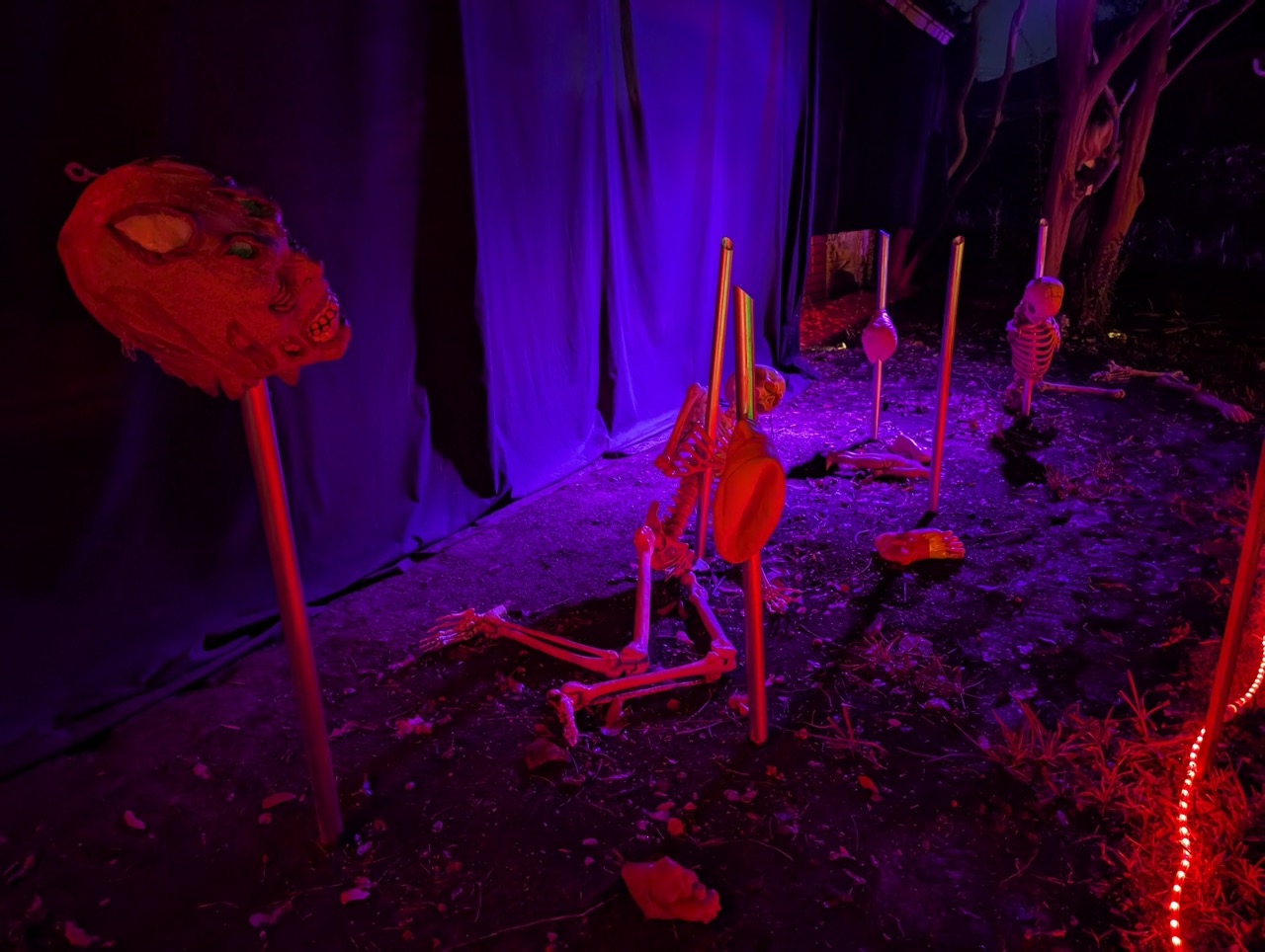 Photo from 2024 gallery